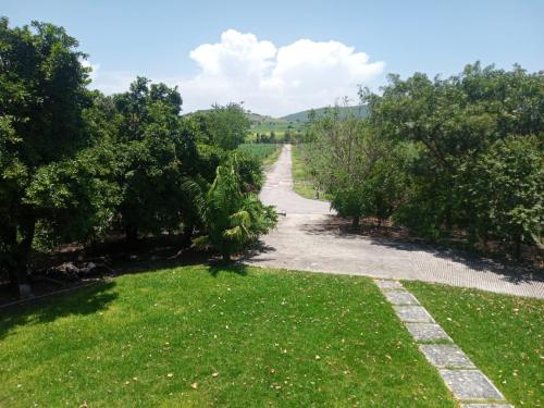 Terreno de cien hect�reas, Ayala Morelos