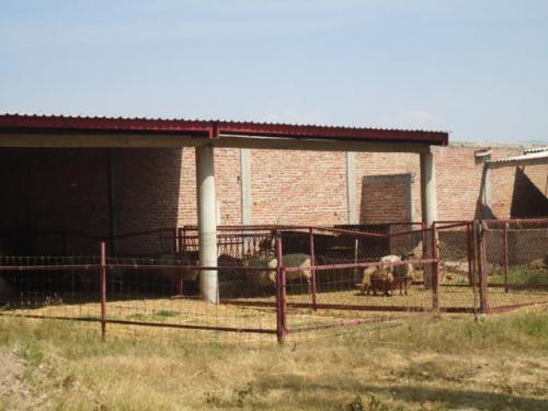 Rancho en venta Celaya Gto.
