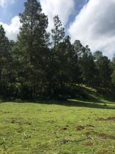 Terrenos en Venta Juanacatlan (Tapalpa)